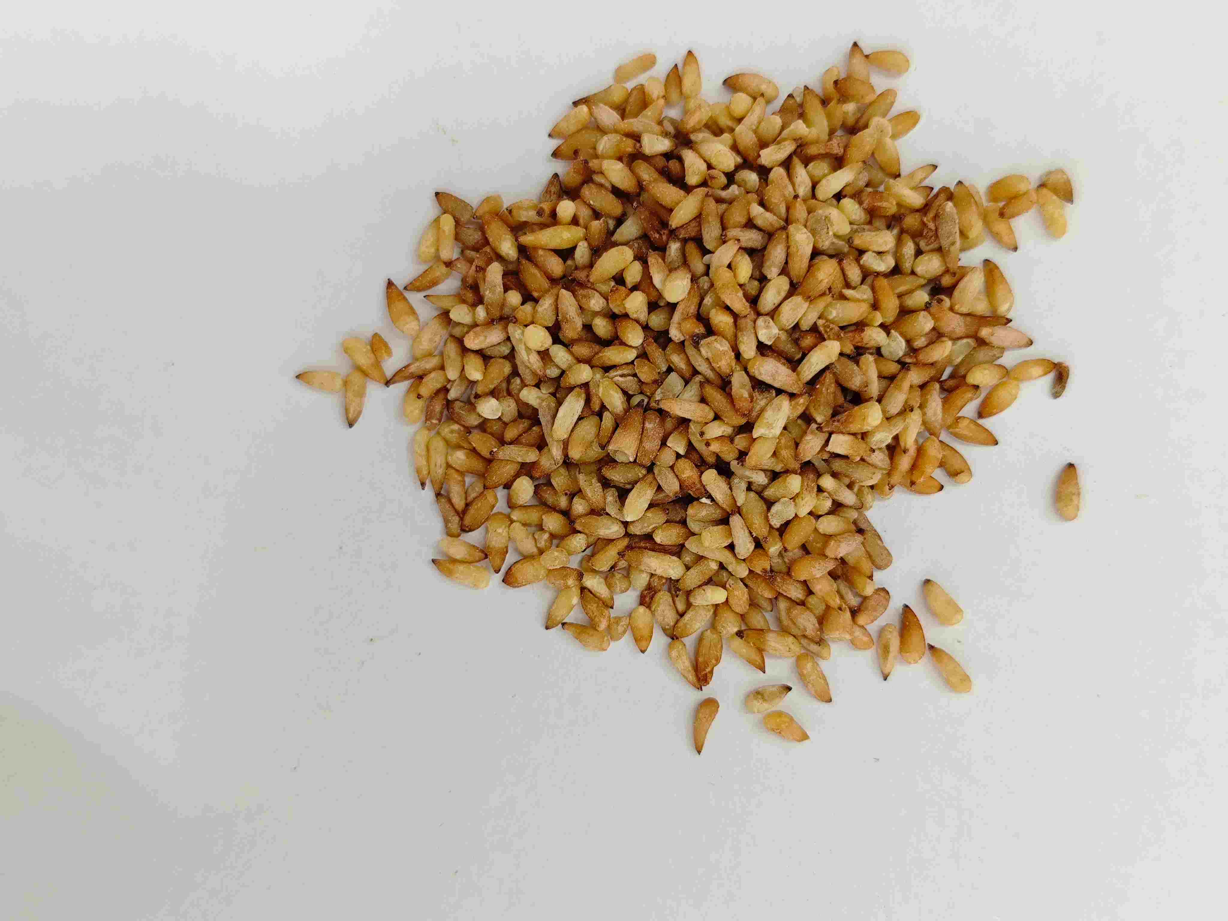 بذرة Arborvitae الصينية (Bǎi Zǐ R&eacute;n)