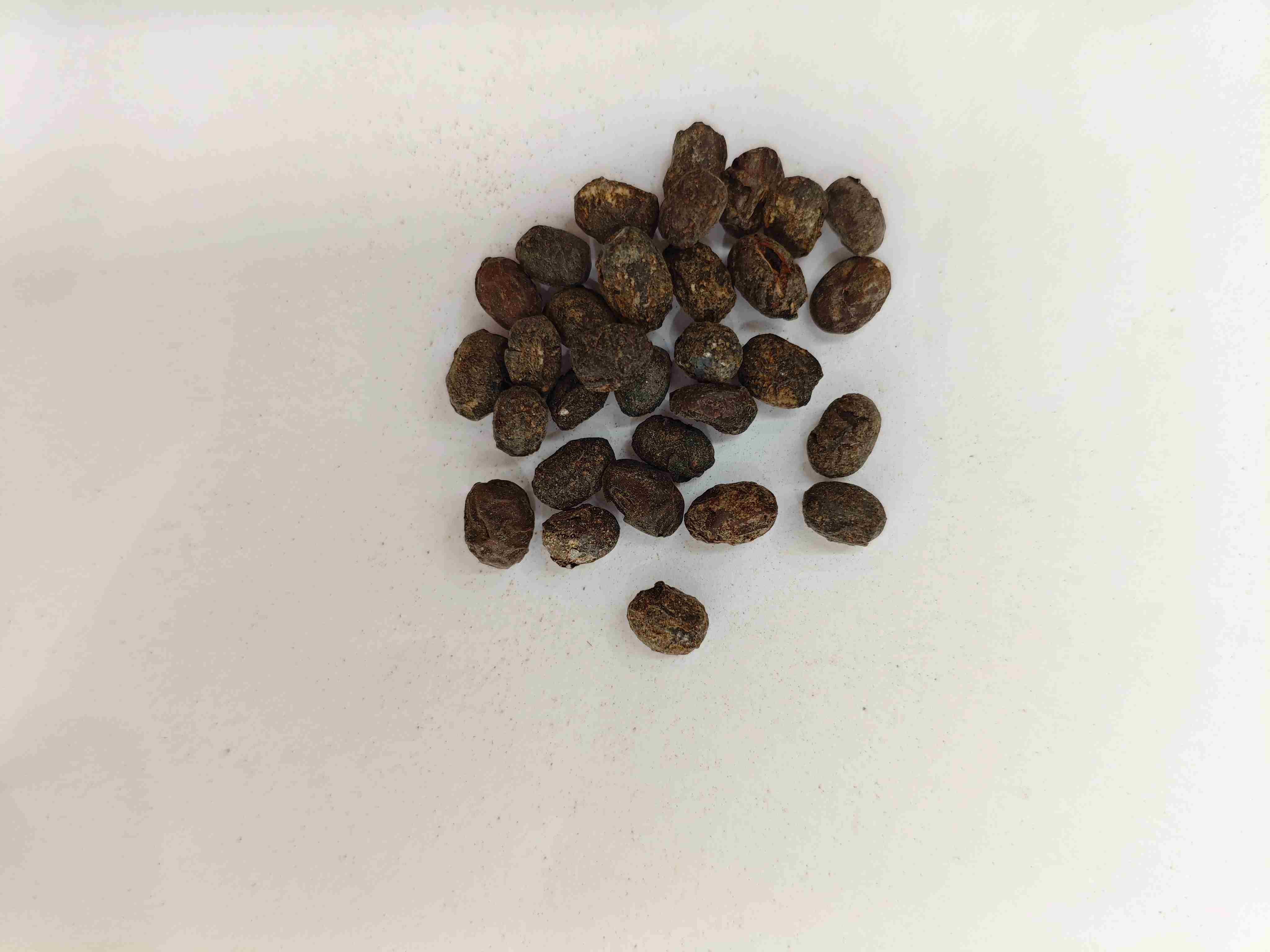 فول الصويا المخمر (dàn dòu chǐ)