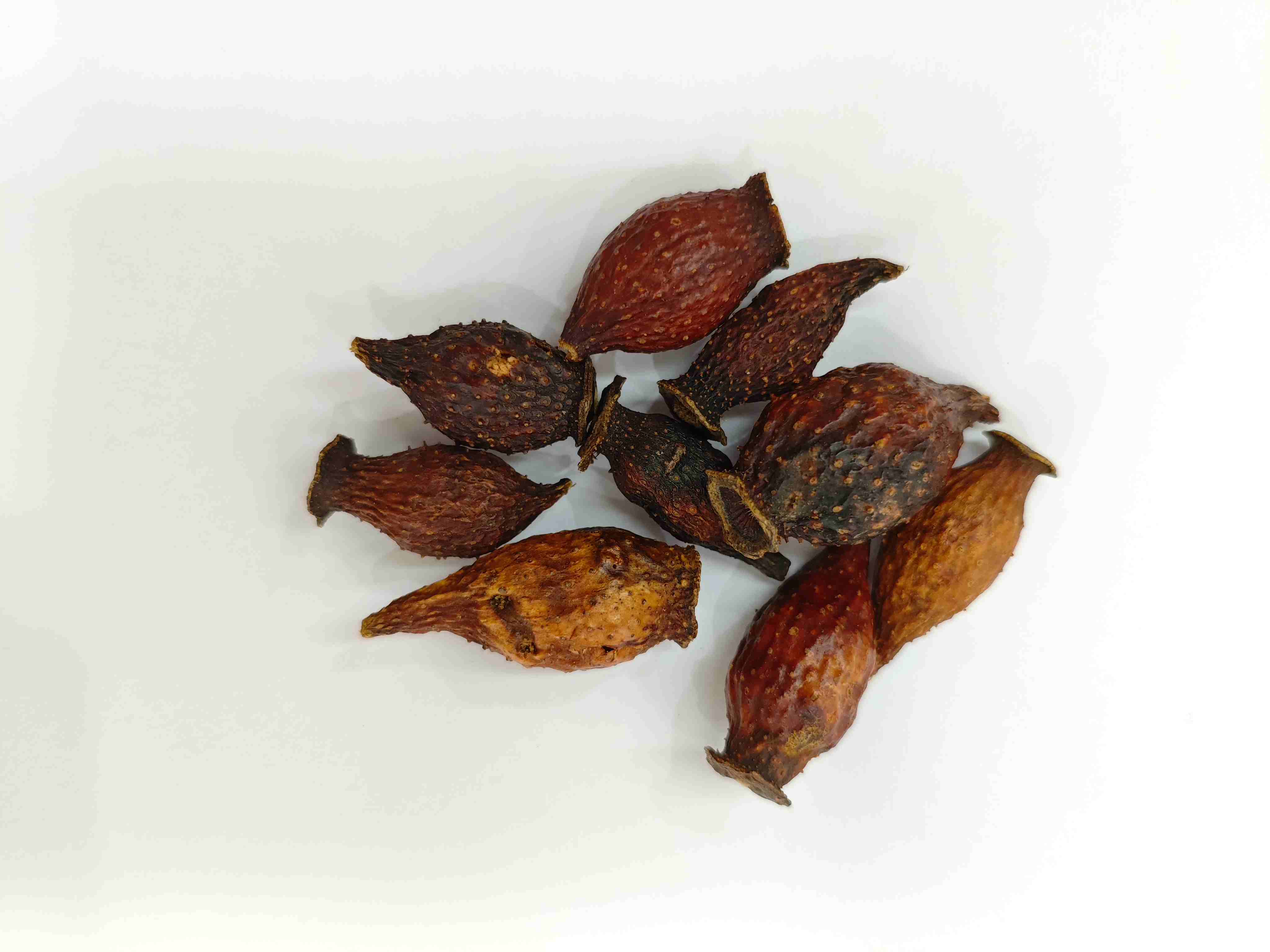 التوت الذهبي (Jīnyīngzǐ)