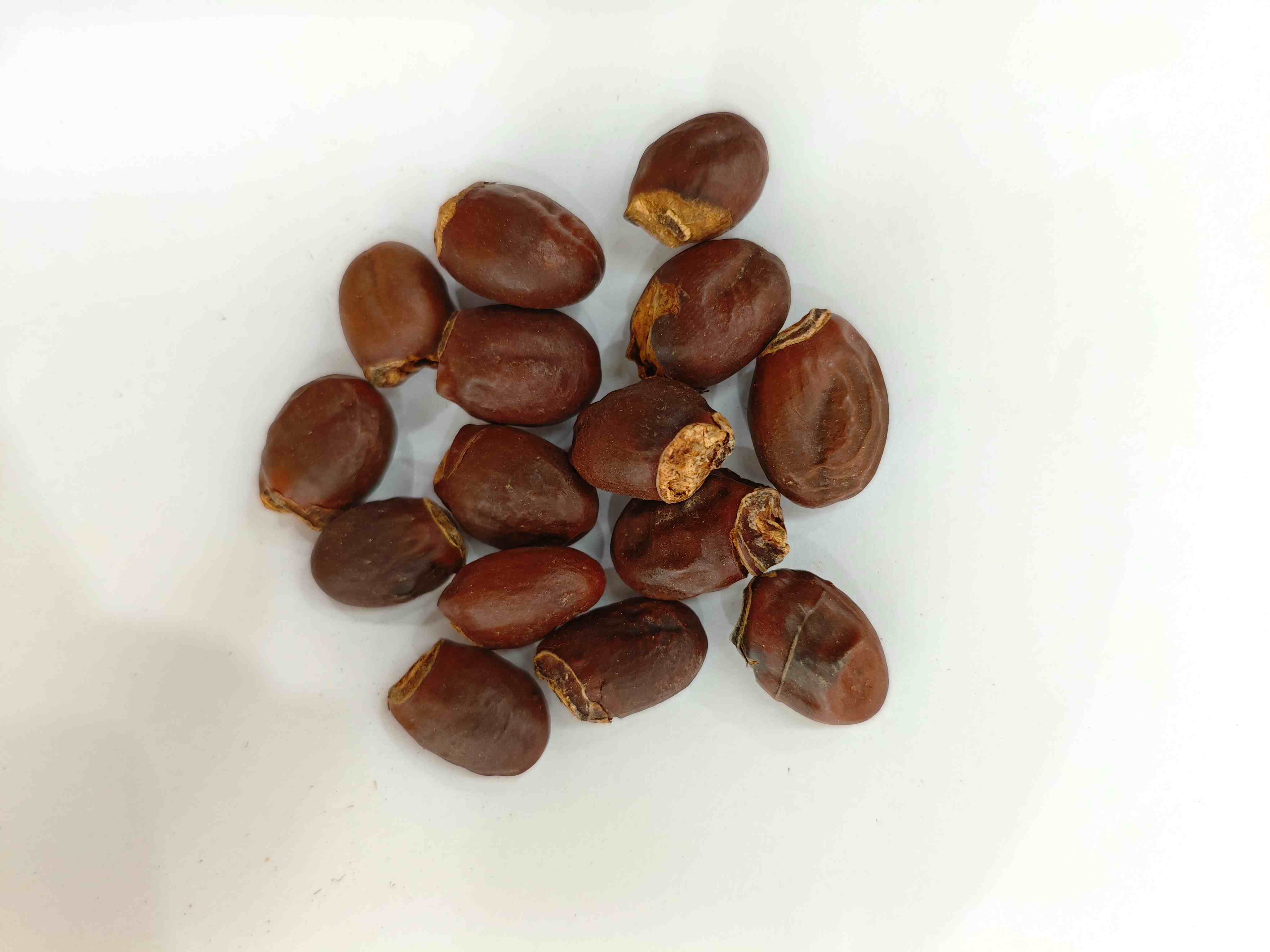 بذرة Lychee (Lìzhī Hé)