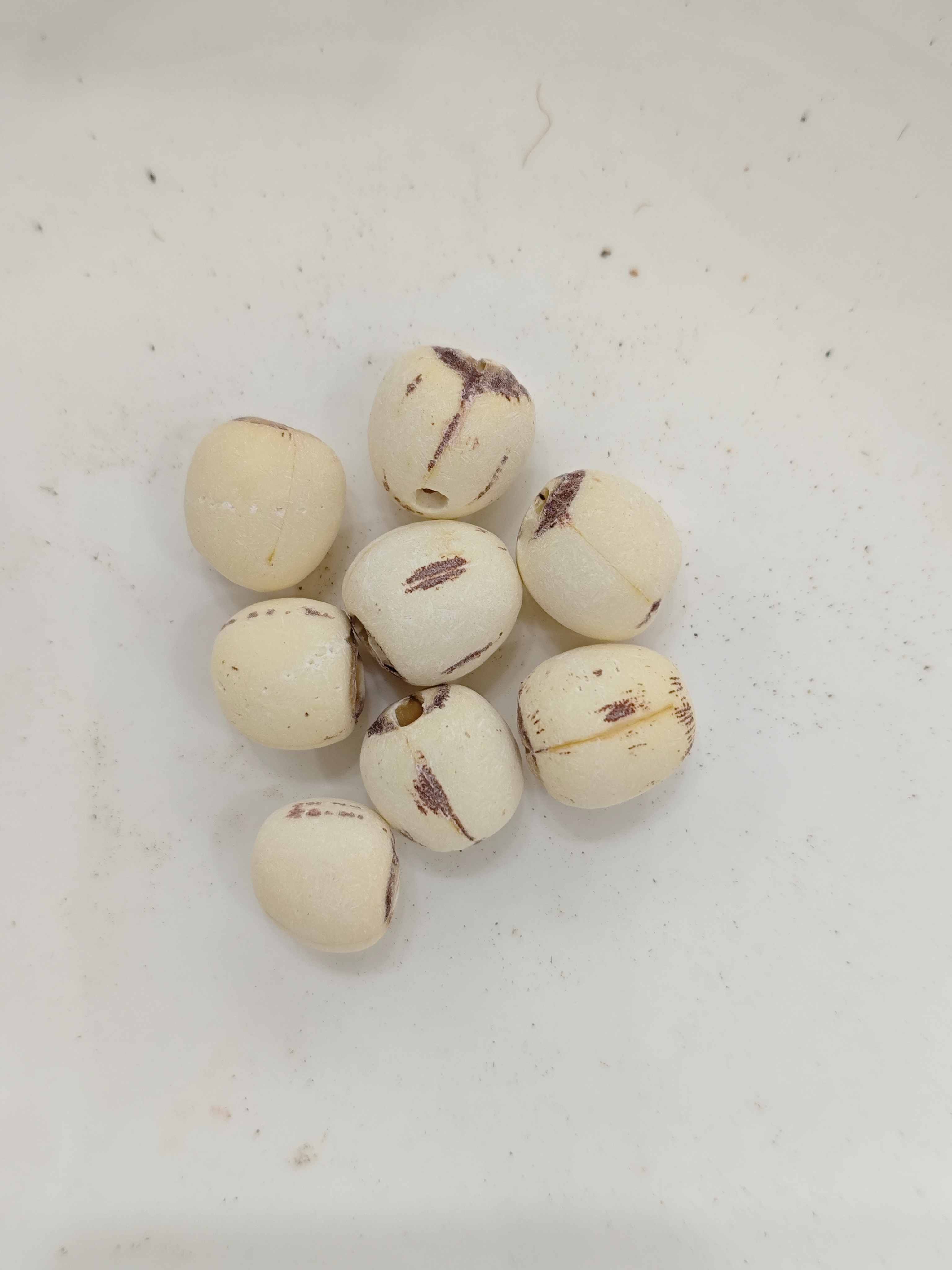 بذور لوتس (لياهز)