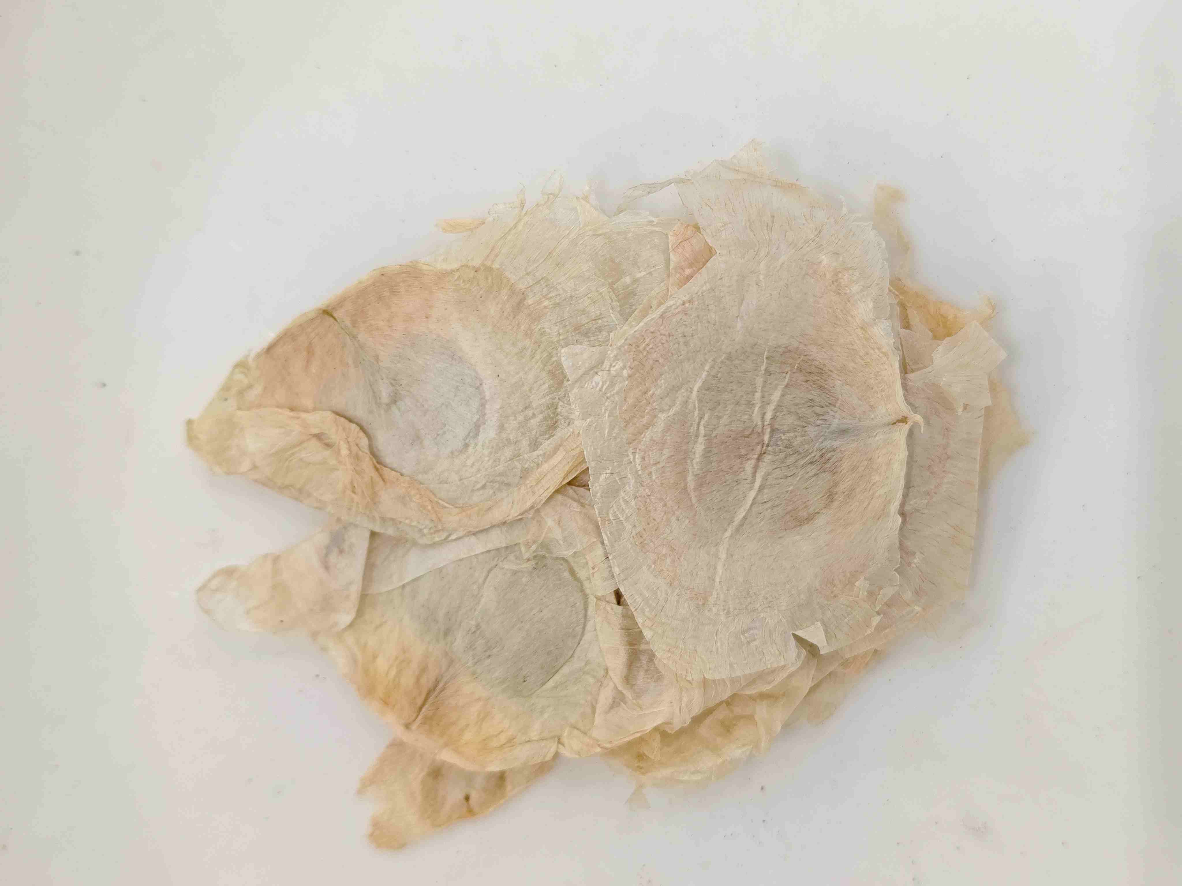 لحاء شجرة الفراشة (mù húdié)