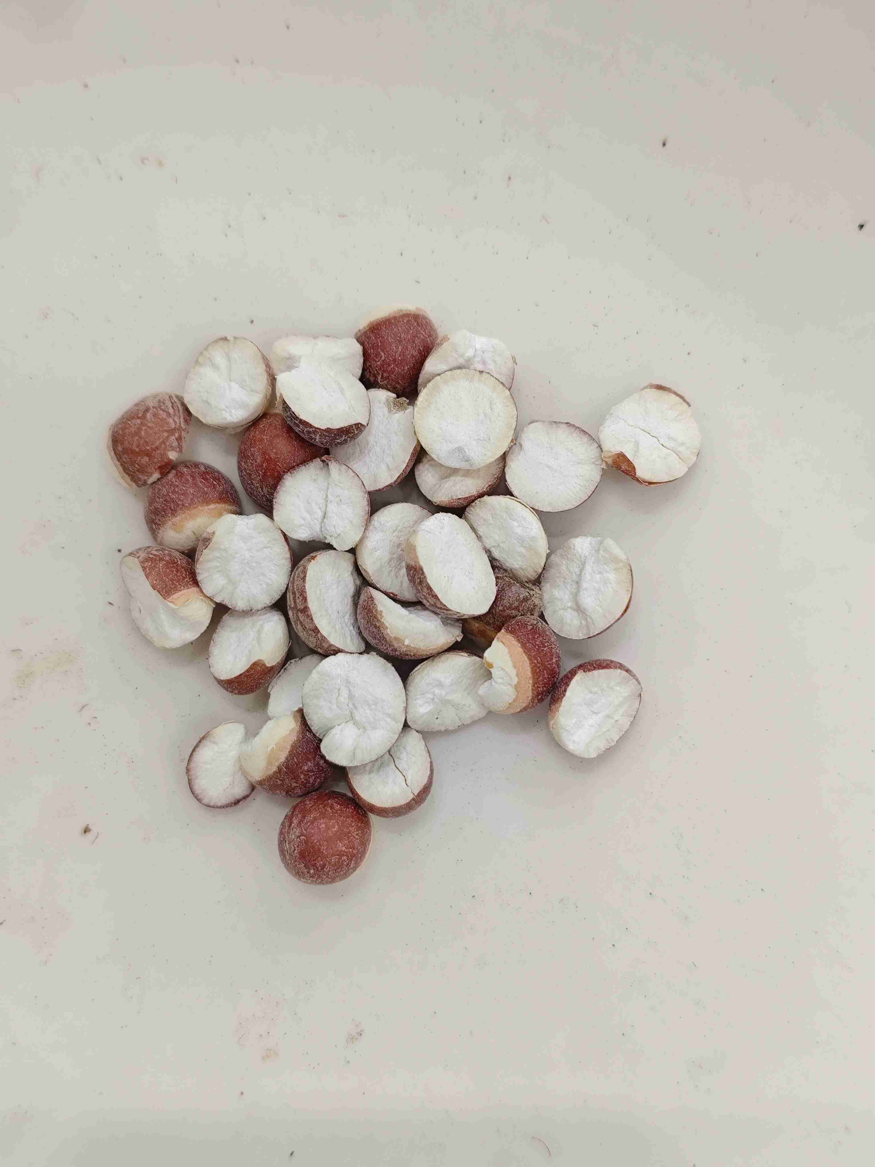 بذرة euryale (Qiànshí)