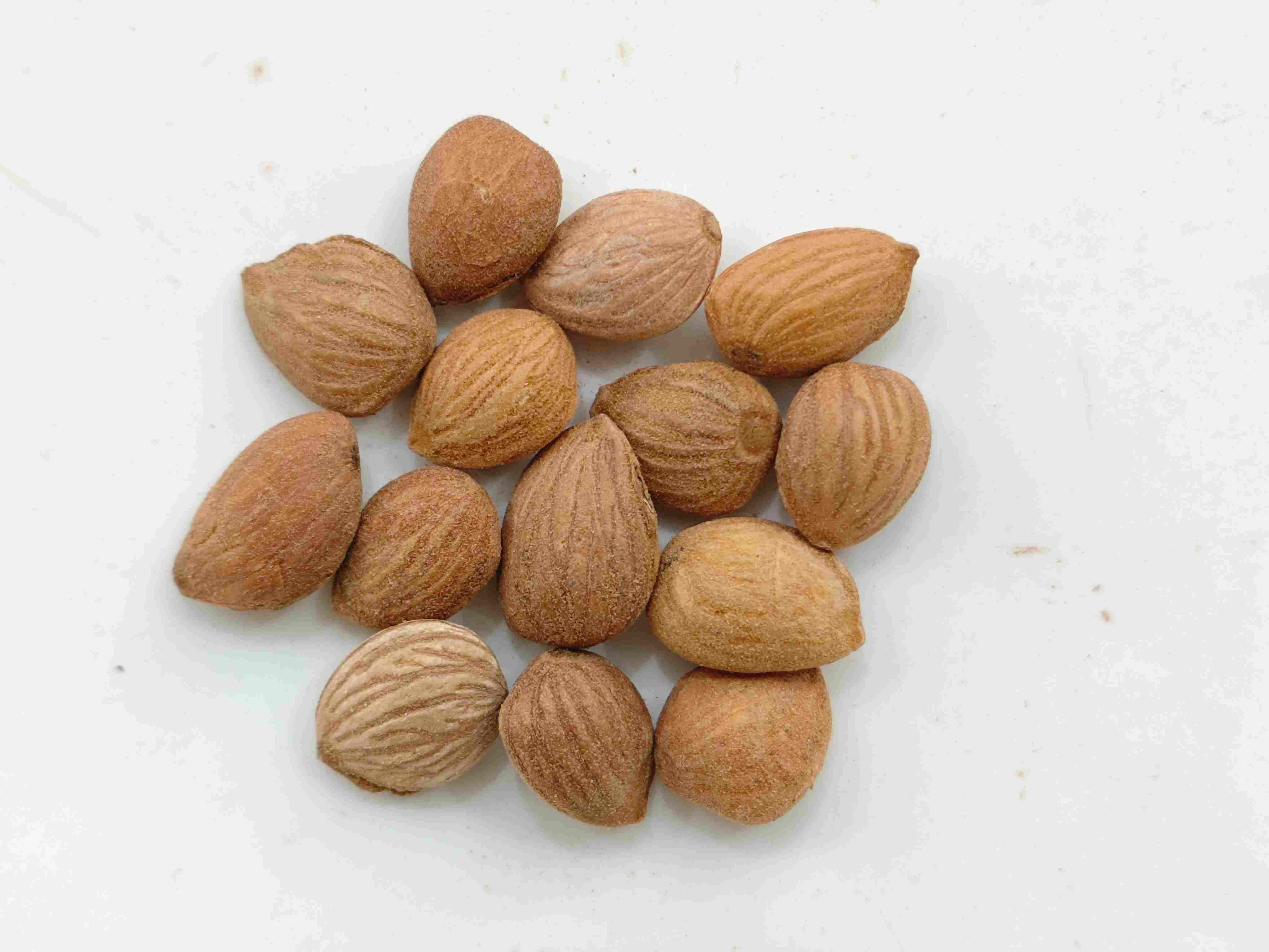 kernel الخوخ (Táorén)