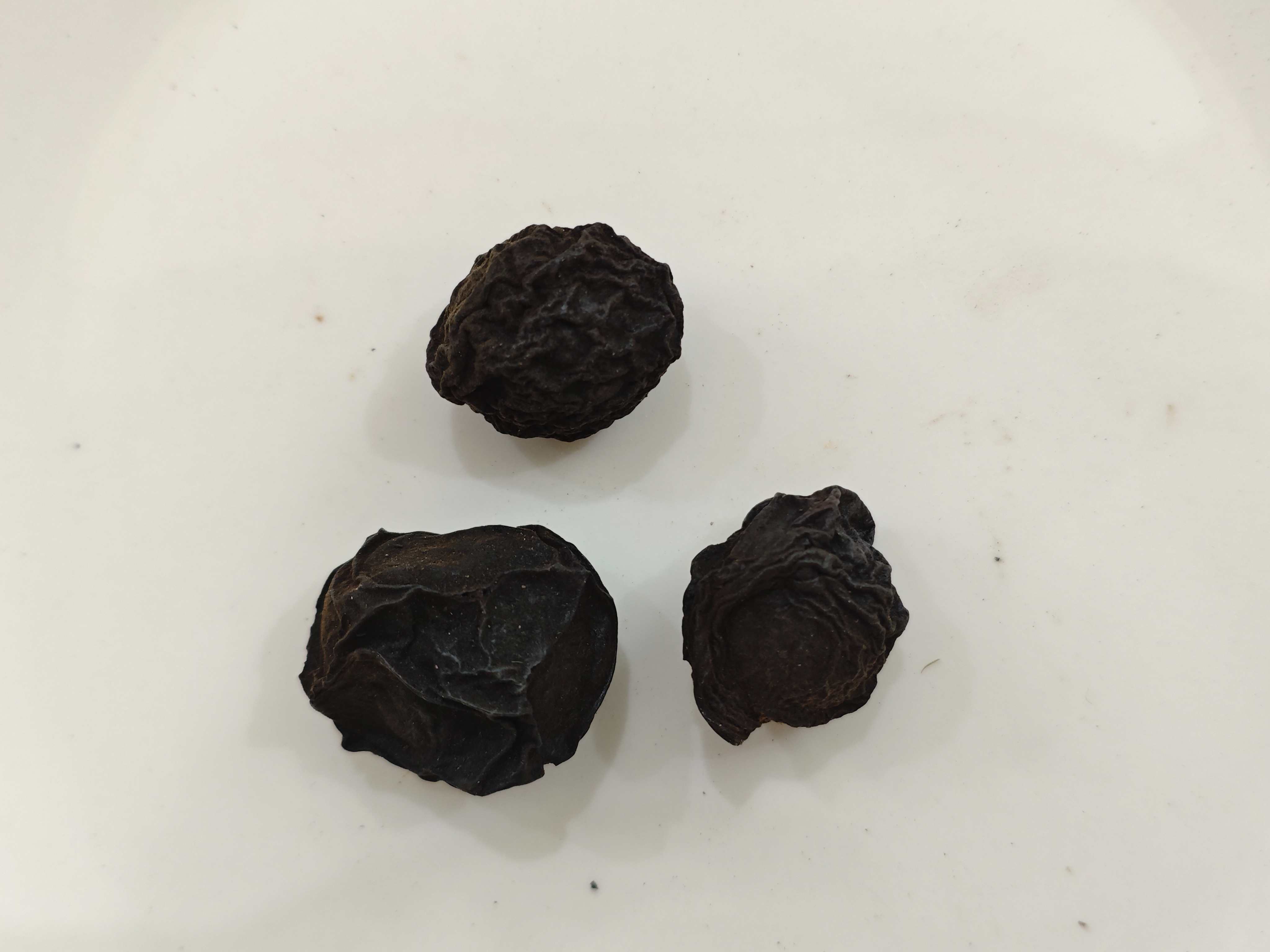 البرقوق الصيني (wūméi)