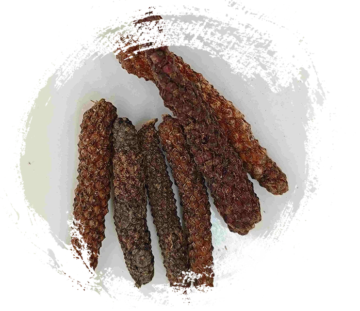 فاكهة بايبر لونغوم (Bì Bá)