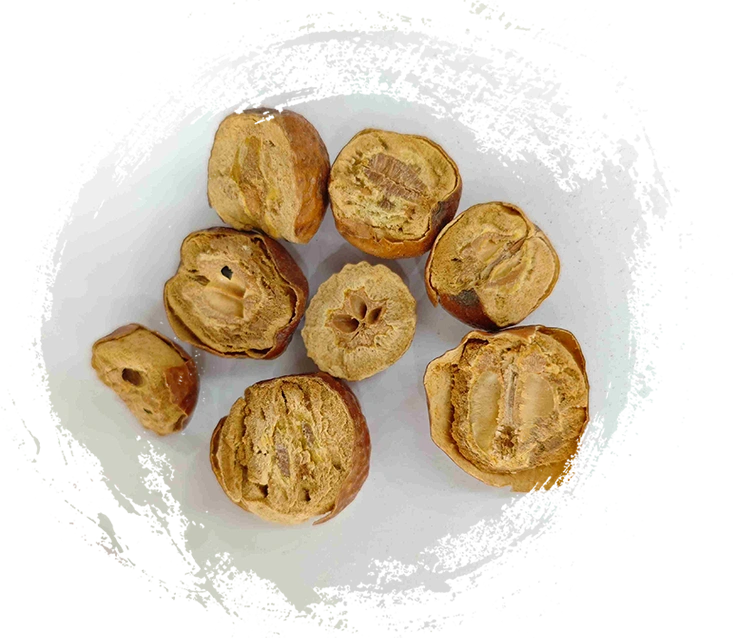 فاكهة توسينندان (تشوان ليان ز)