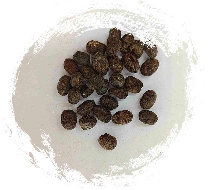 فول الصويا المخمر (dàn dòu chǐ)