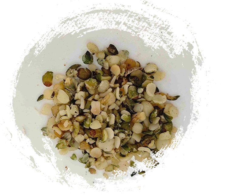 بذرة القنب النار (هوومارين)