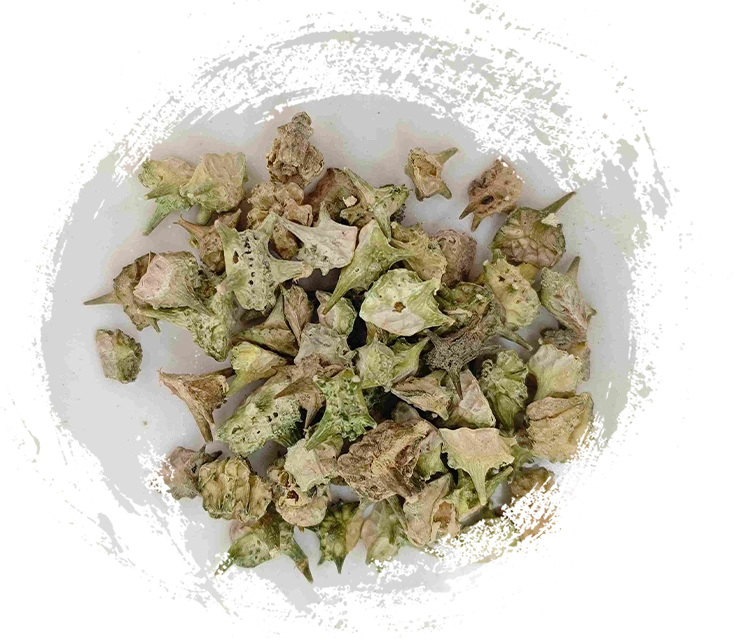 تريبولوس (جيلي)