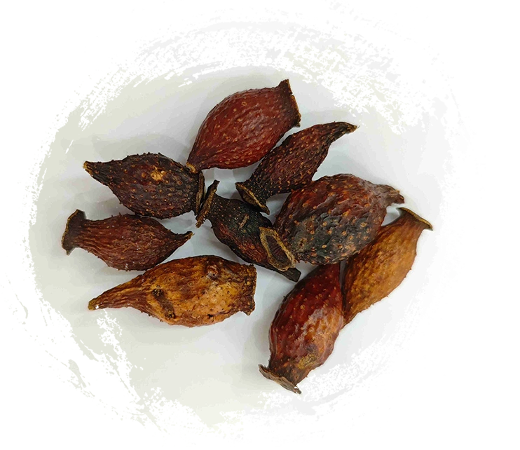 التوت الذهبي (Jīnyīngzǐ)