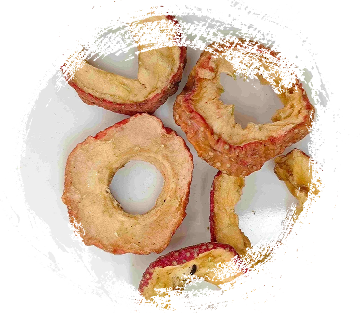 فهم وظائف النباتات العشبية في الطب الصيني التقليدي