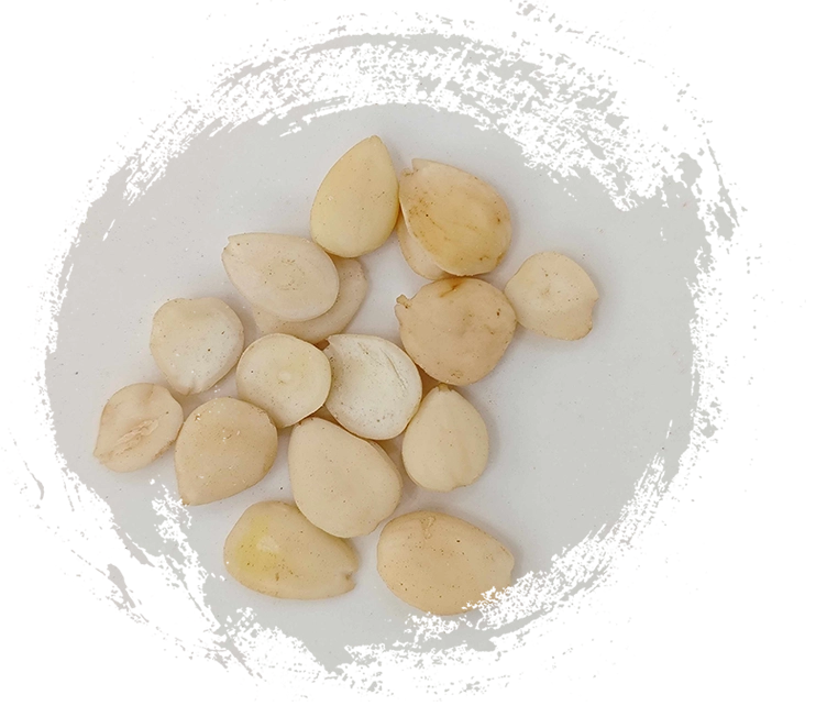 دمج نباتات الطب الصيني التقليدي في روتينك الصحي: نصائح وفوائد عملية