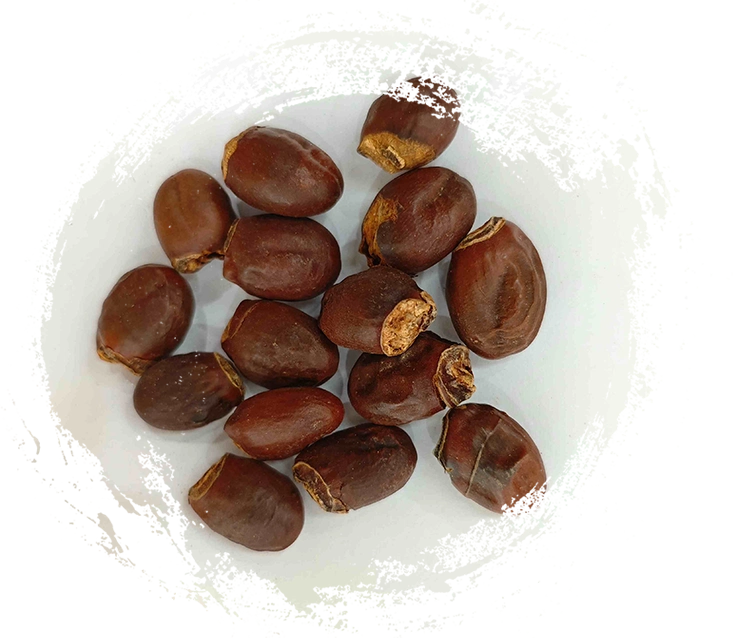 بذرة Lychee (Lìzhī Hé)