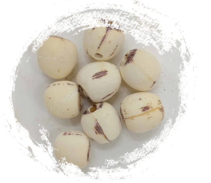 بذور لوتس (لياهز)