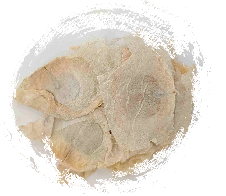 لحاء شجرة الفراشة (mù húdié)