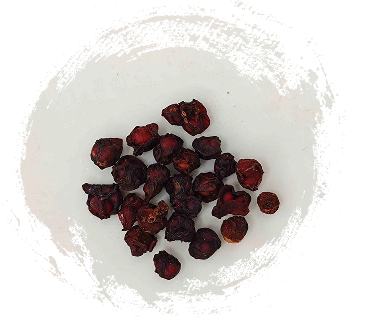 فاكهة شيسندرا (Wǔwèizǐ):