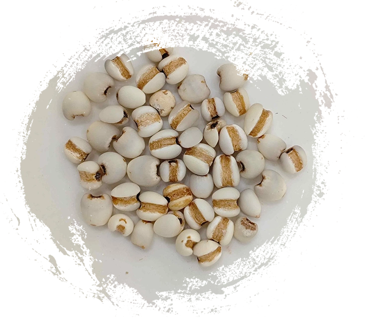 كوكس بذرة (yìyǐrén)