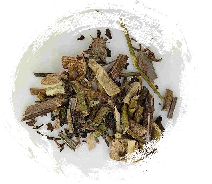 برعم أبيض (Báiyīng)