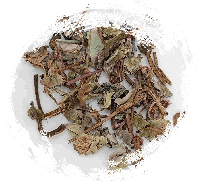 النباتات في الطب الصيني التقليدي: خصائصها الفريدة وتطبيقاتها العلاجية