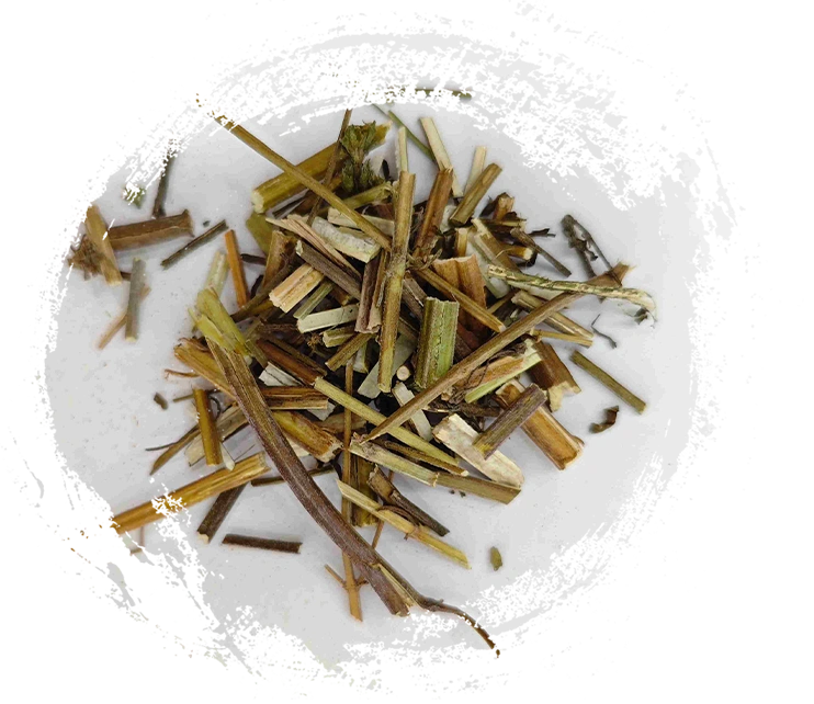 هيربا شيزون ايتراي (jīngjiè)