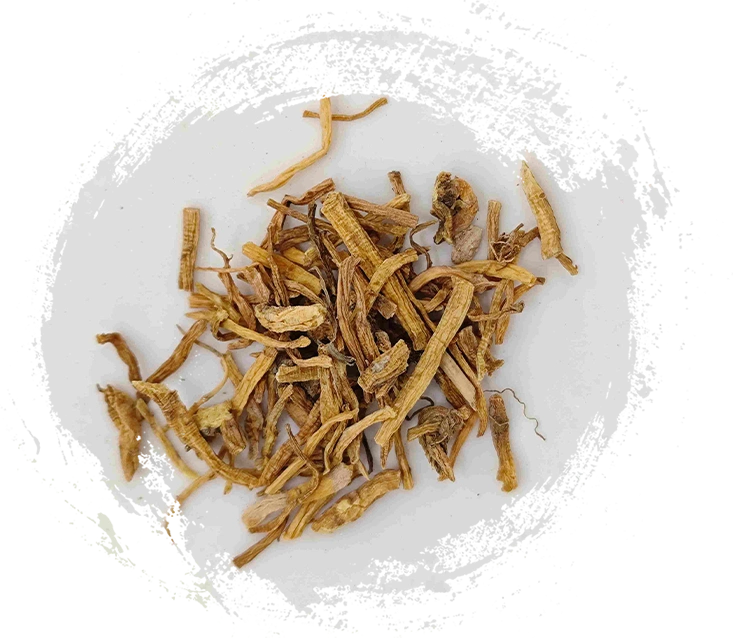 جنتانا (lóngdǎn)