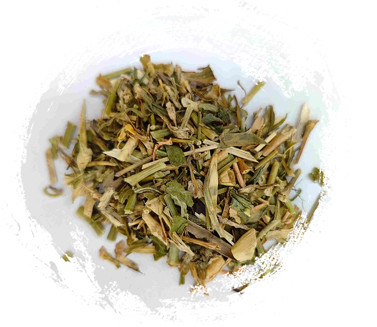 زهرة الجرس الصينية (Qúmài)