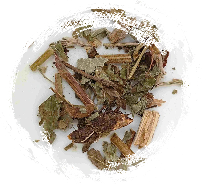 هيربا agrimoniae (xiānhè cǎo)