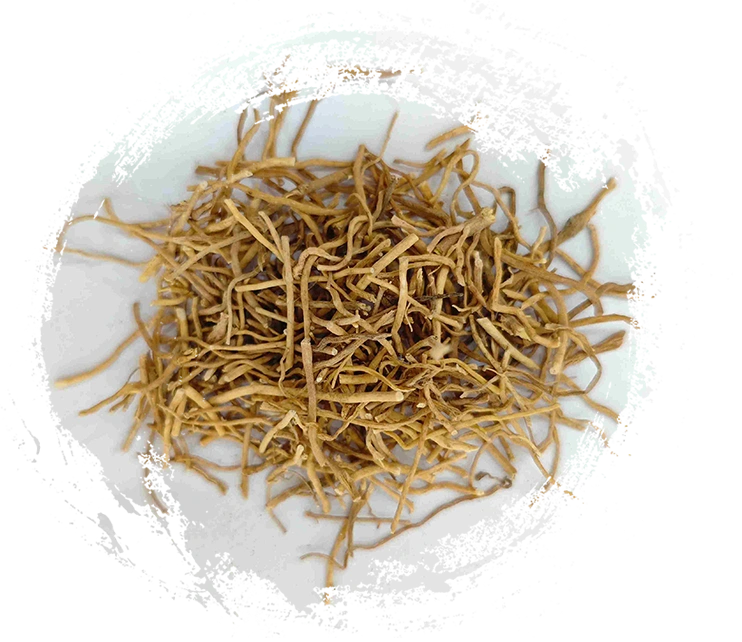 هيربا ديبلوبانث (Xú Cháng Qīng)