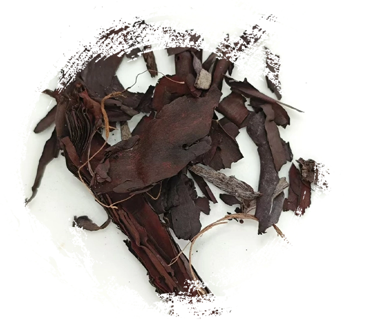 كيف يعمل الطب العشبي الصيني: المبادئ والآليات والتطبيقات العملية