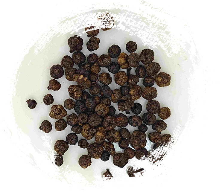 فاكهة Evodia المعالجة (Zhì Wúzhūyú)