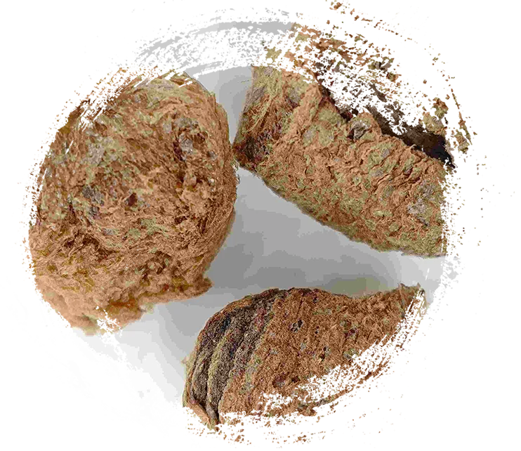 exuviae exuviae exuviae (sanngpiájiào)