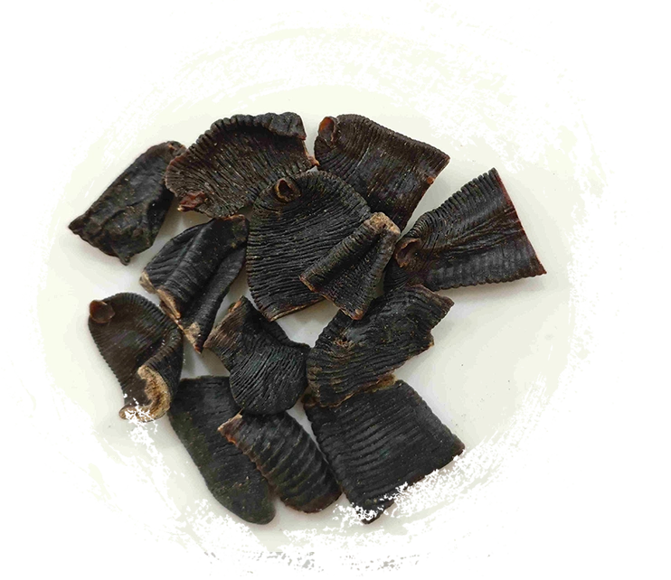 علقة (Shuǐzhì)