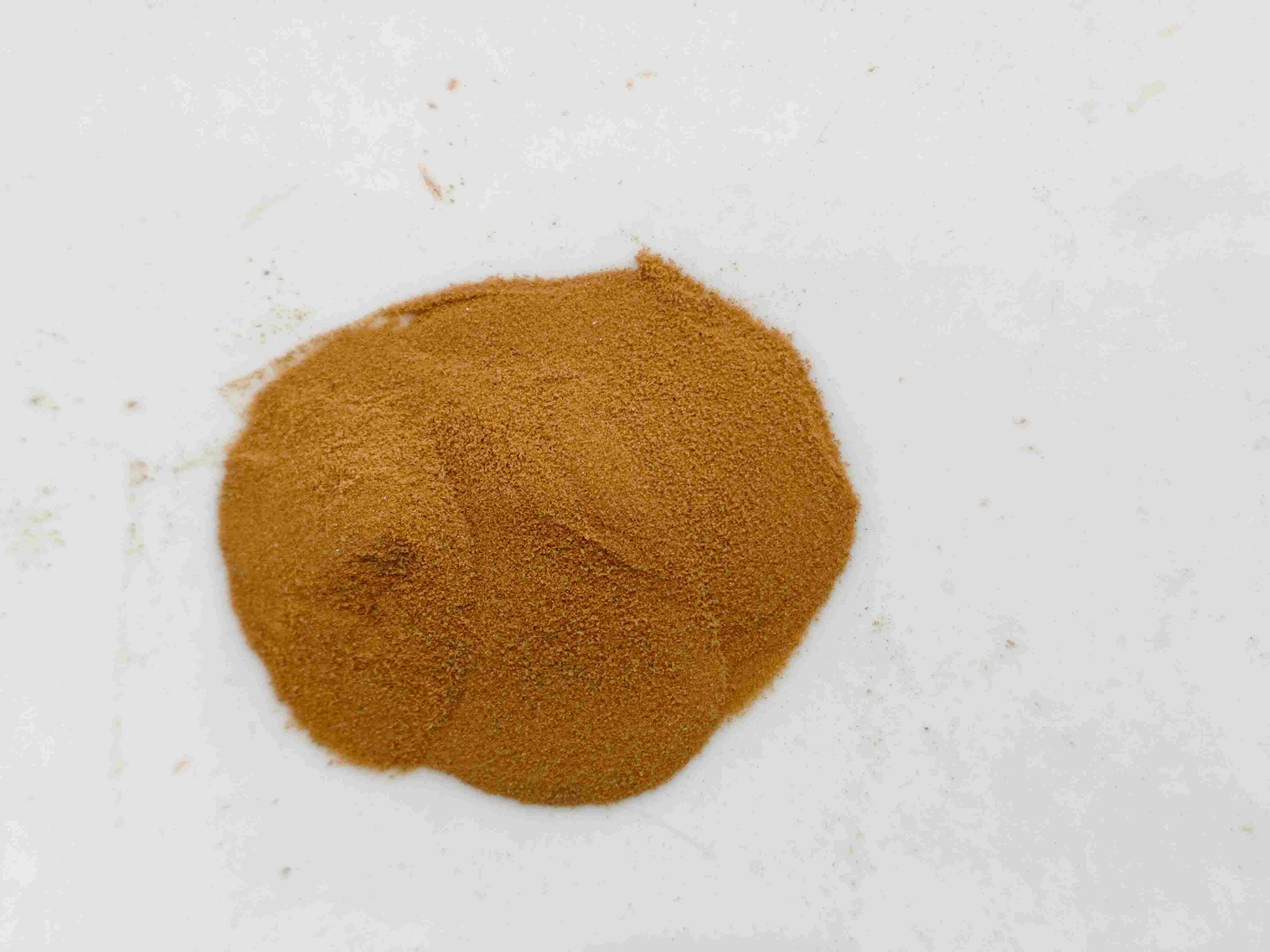 Lygodium japonicum (hǎijīnsha)