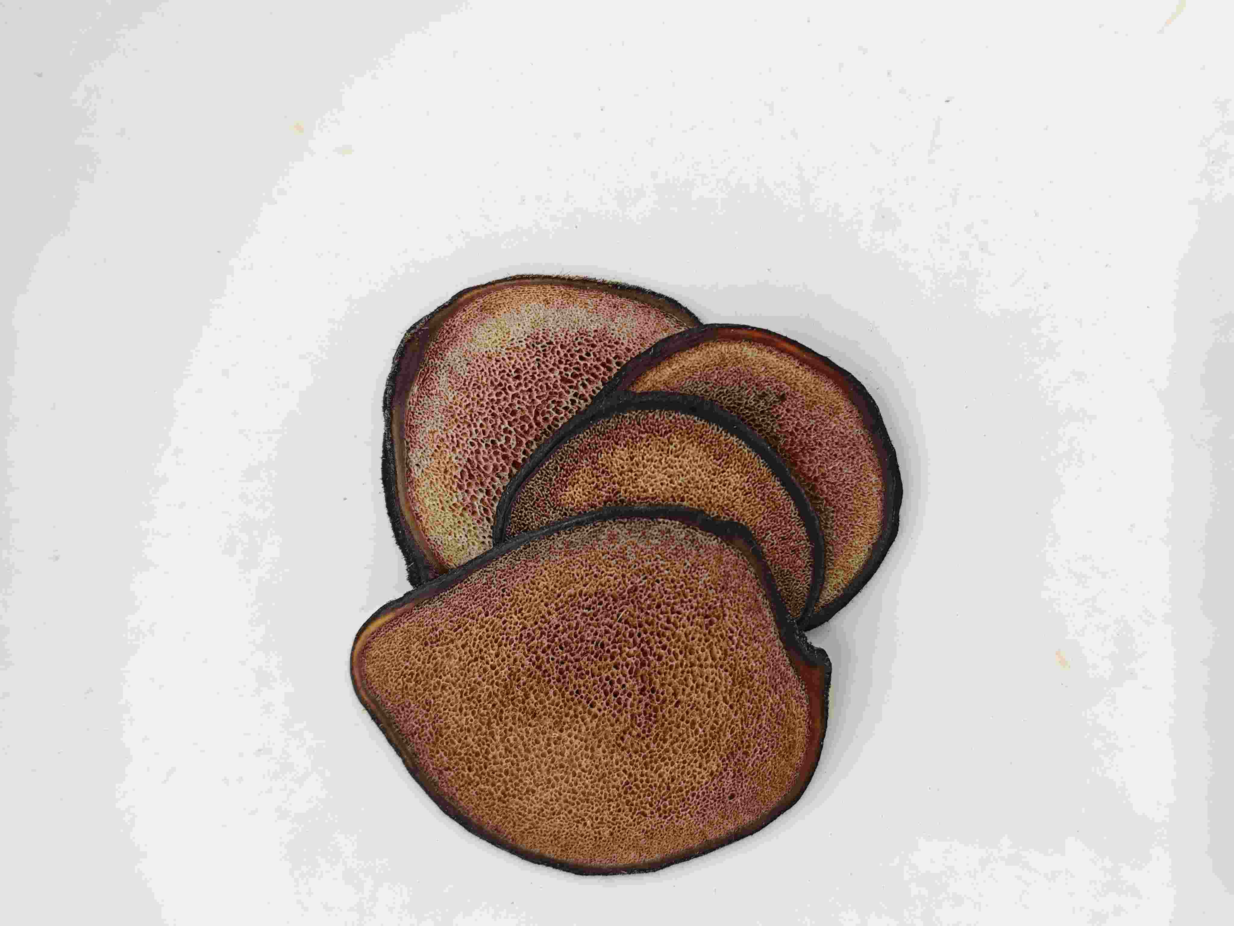 شريحة قرن الوعل الغزلان (lùróng piàn)