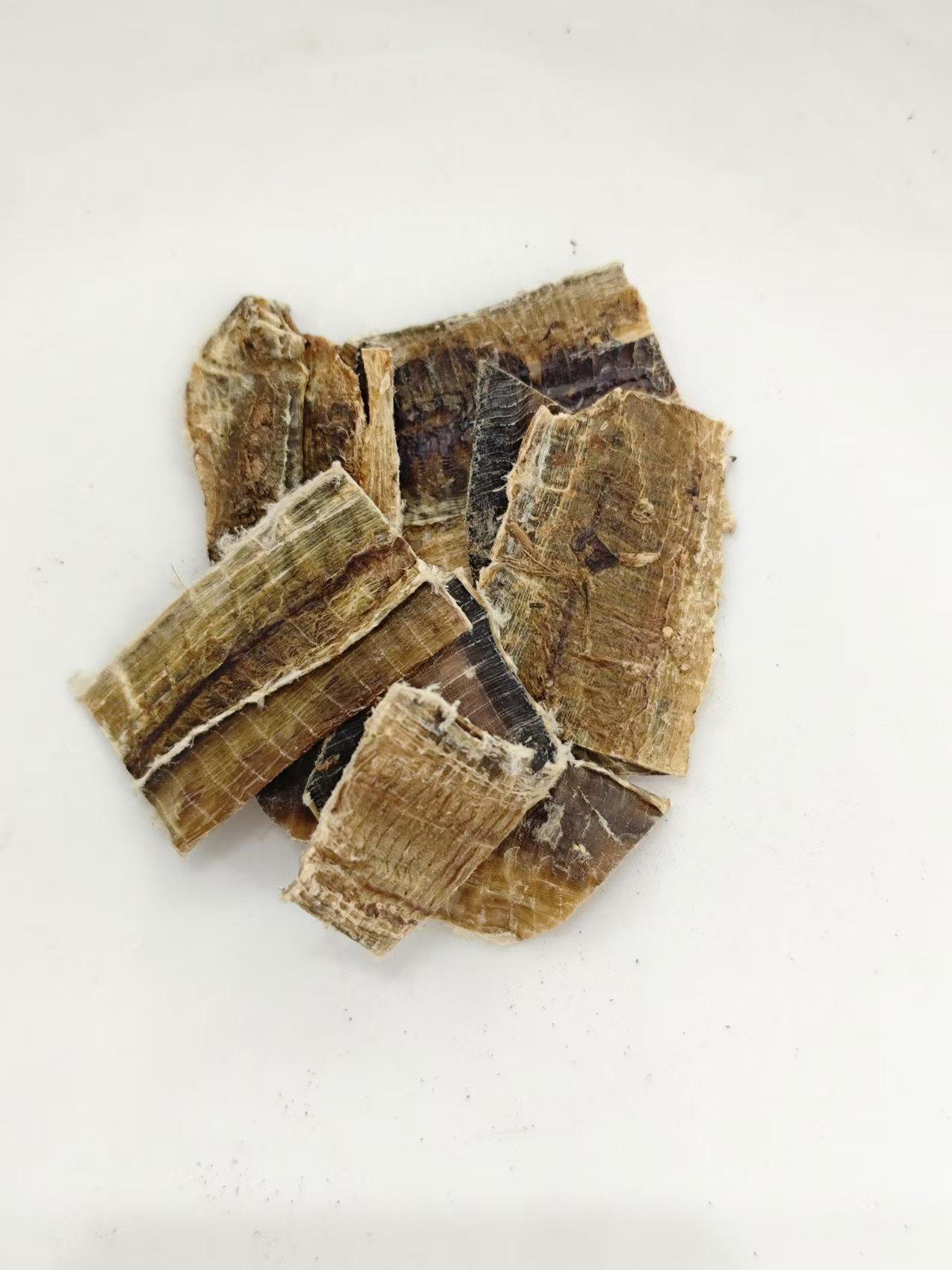 دودة الأرض (d&igrave;l&oacute;ng)