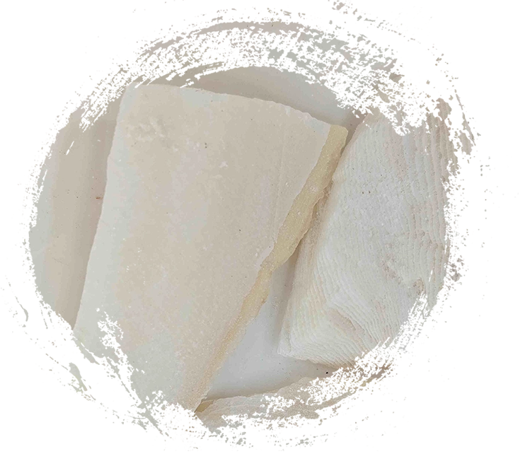 عظام الحبال (hǎipiāoxiāo)