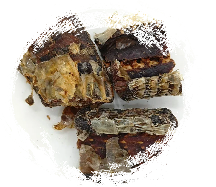 ثعبان Zigzag Black-Zigzag المعالجة (Jiǔ Wūshāo Shé)