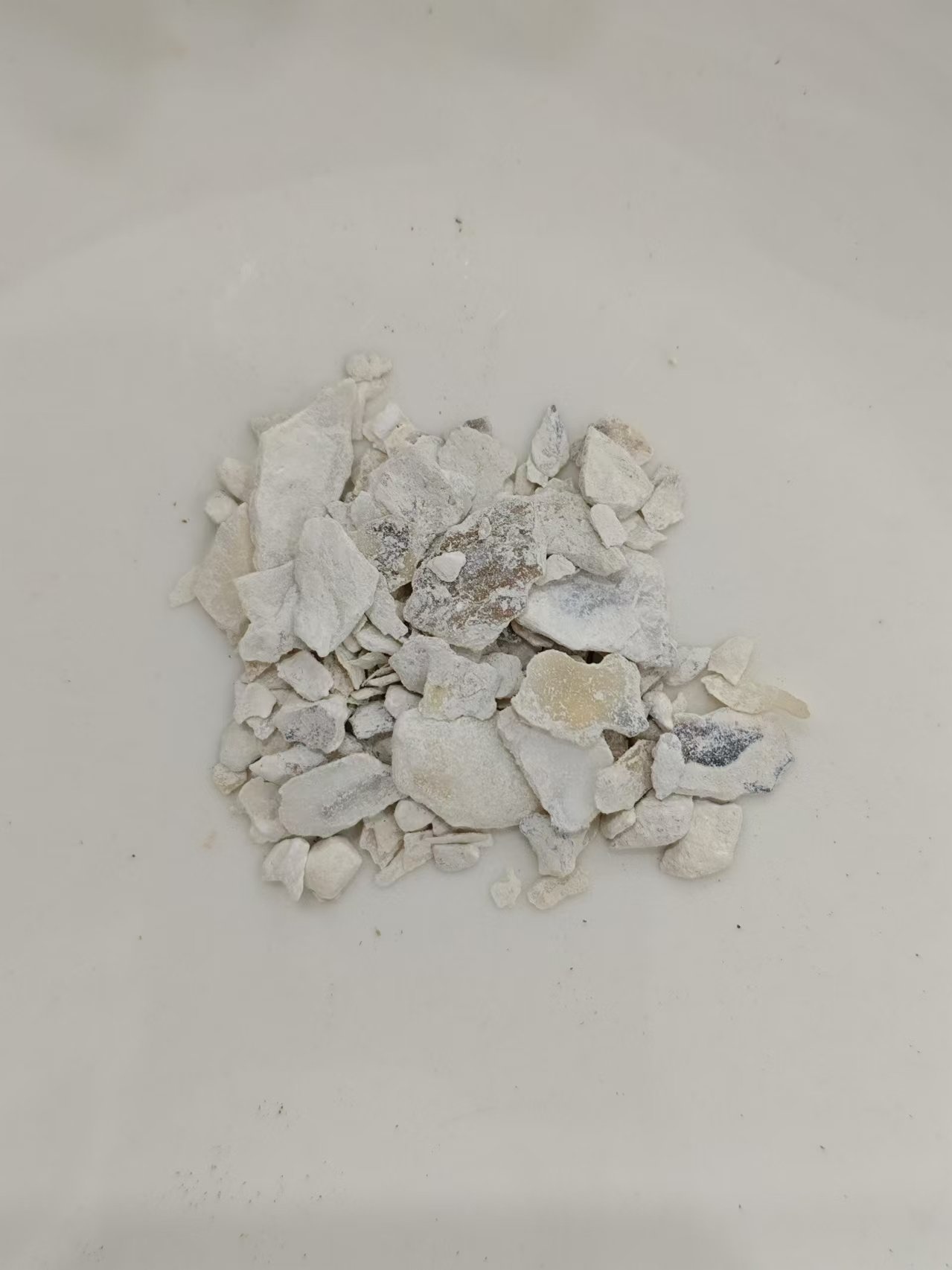 قذيفة أويستر (mǔl&igrave;)