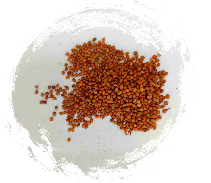 ما هي الميزات التي يجب أن تبحث عنها في الطب المعدني الصيني التقليدي عالي الجودة؟