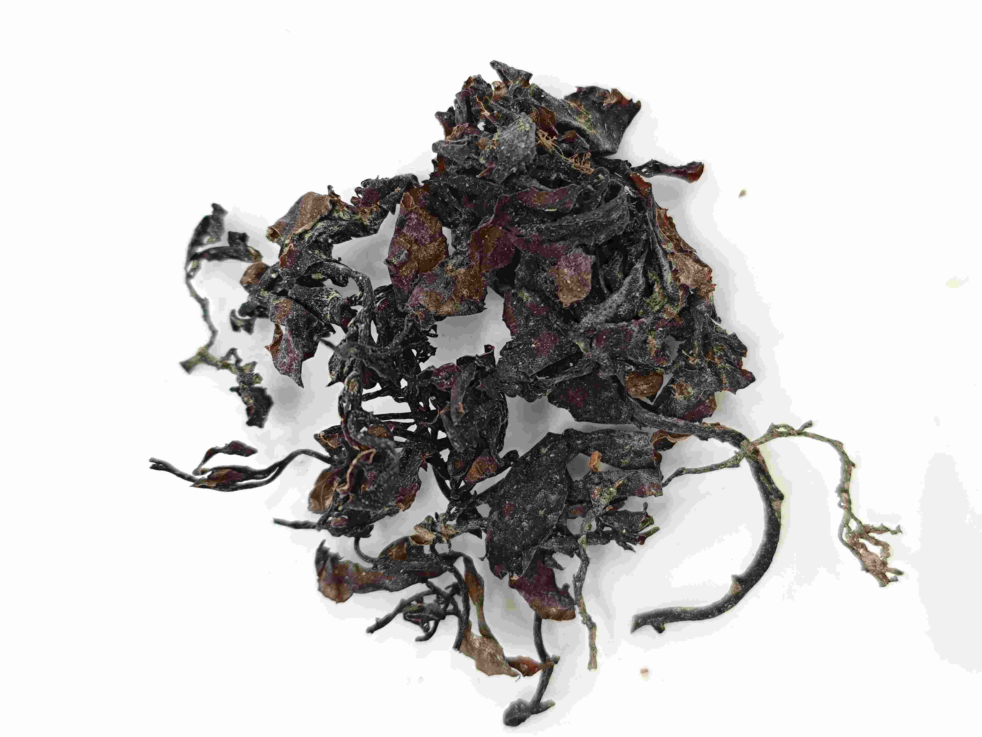 الأعشاب البحرية (hǎizǎo)