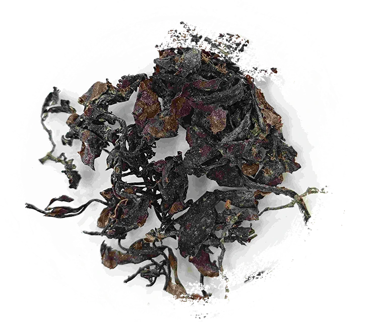 الأعشاب البحرية (hǎizǎo)