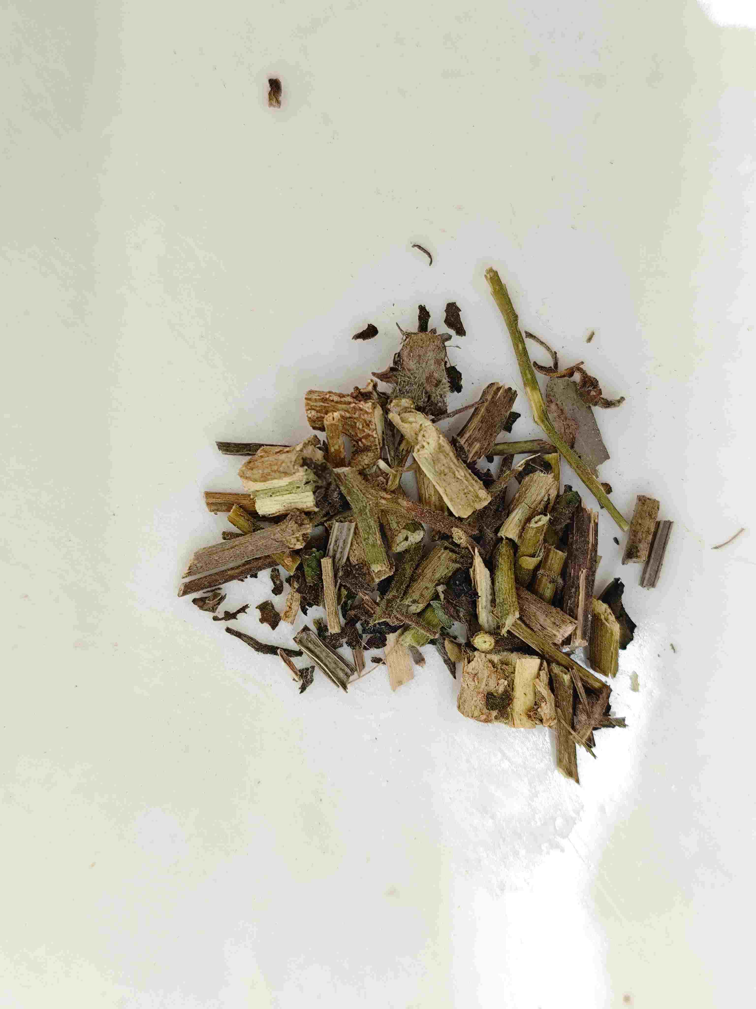 برعم أبيض (Báiyīng)