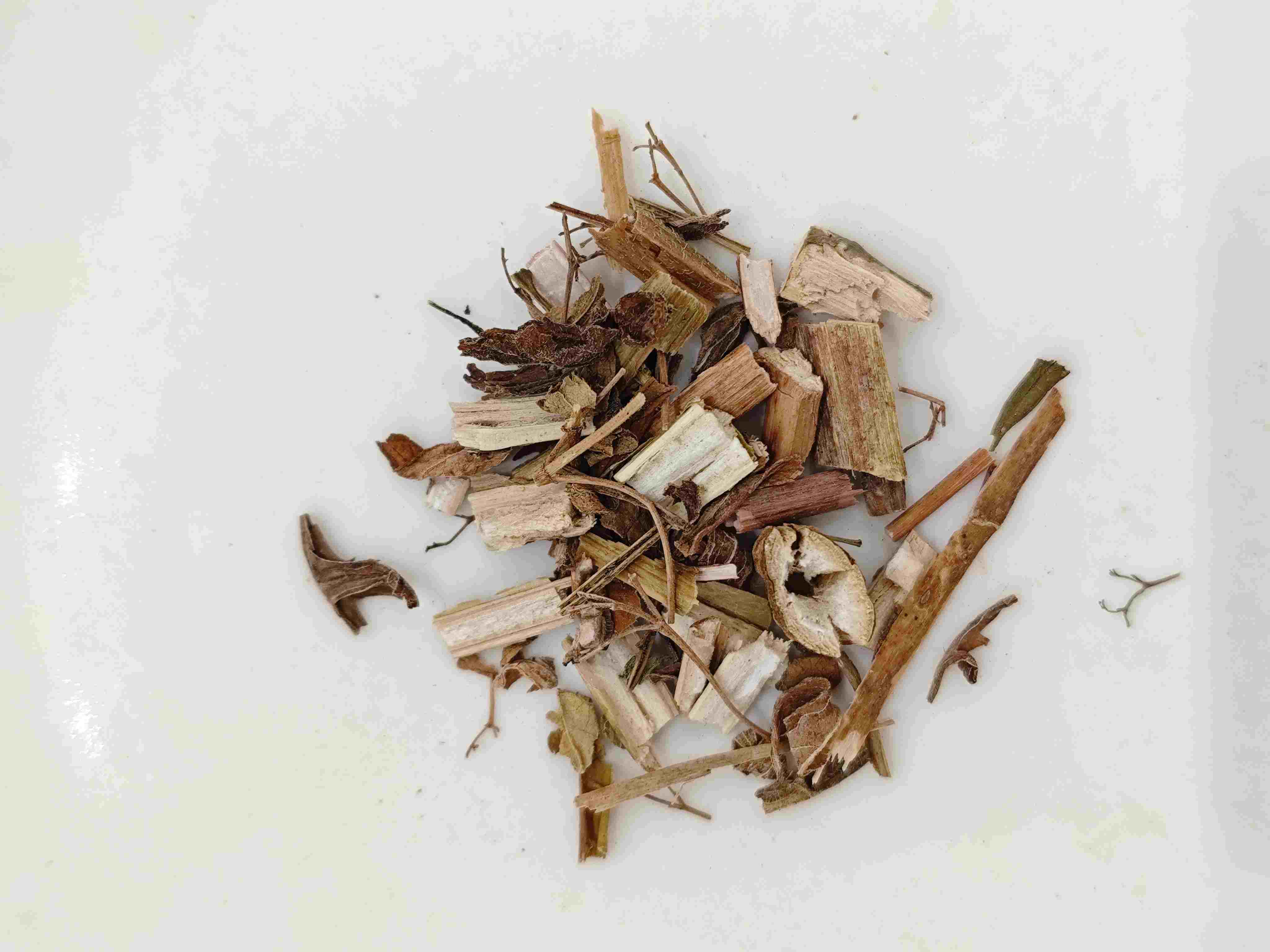 هزم Sage Herb (Bàijiàngcǎo)