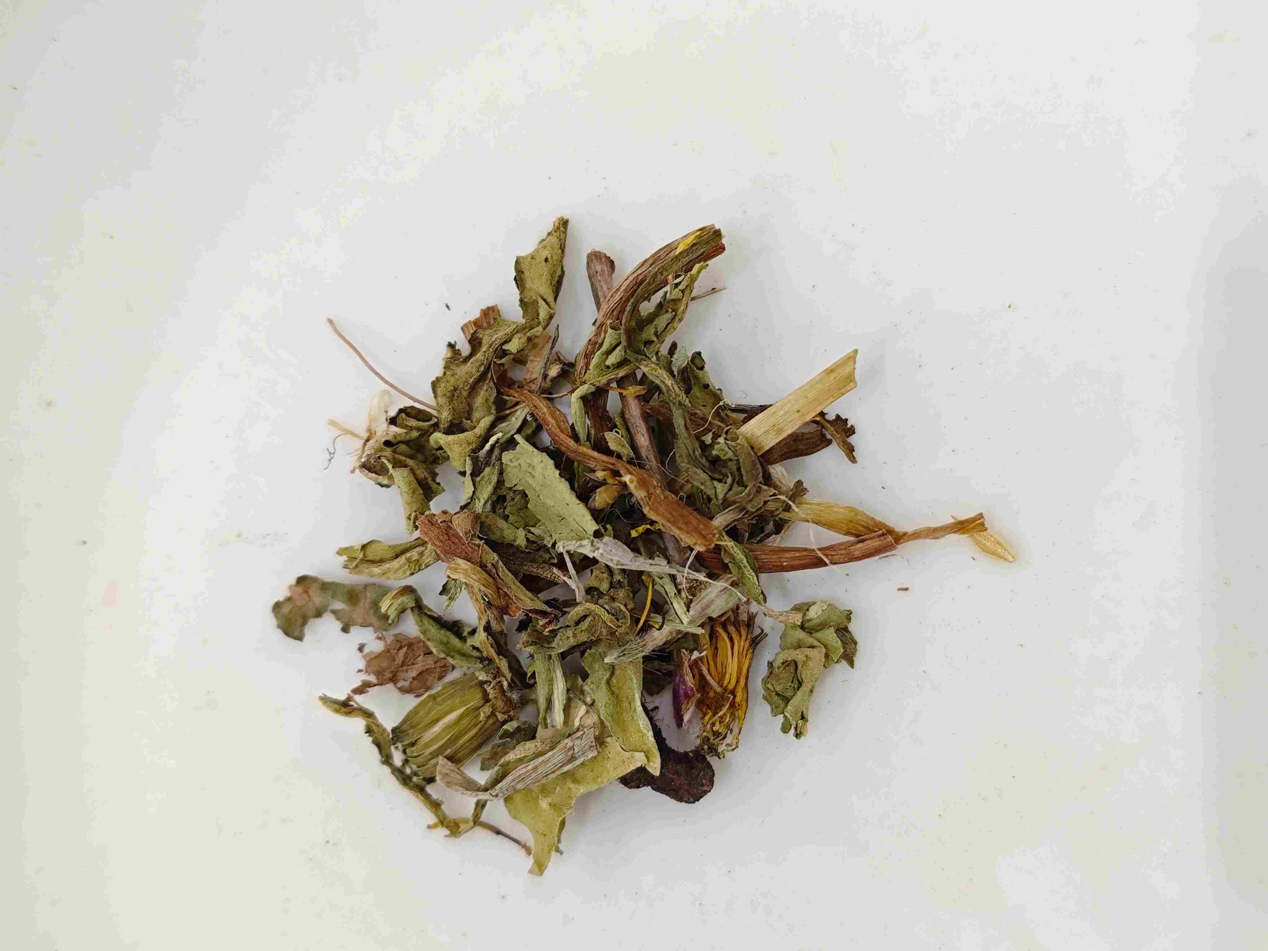 الهندباء (púgōngyīng)