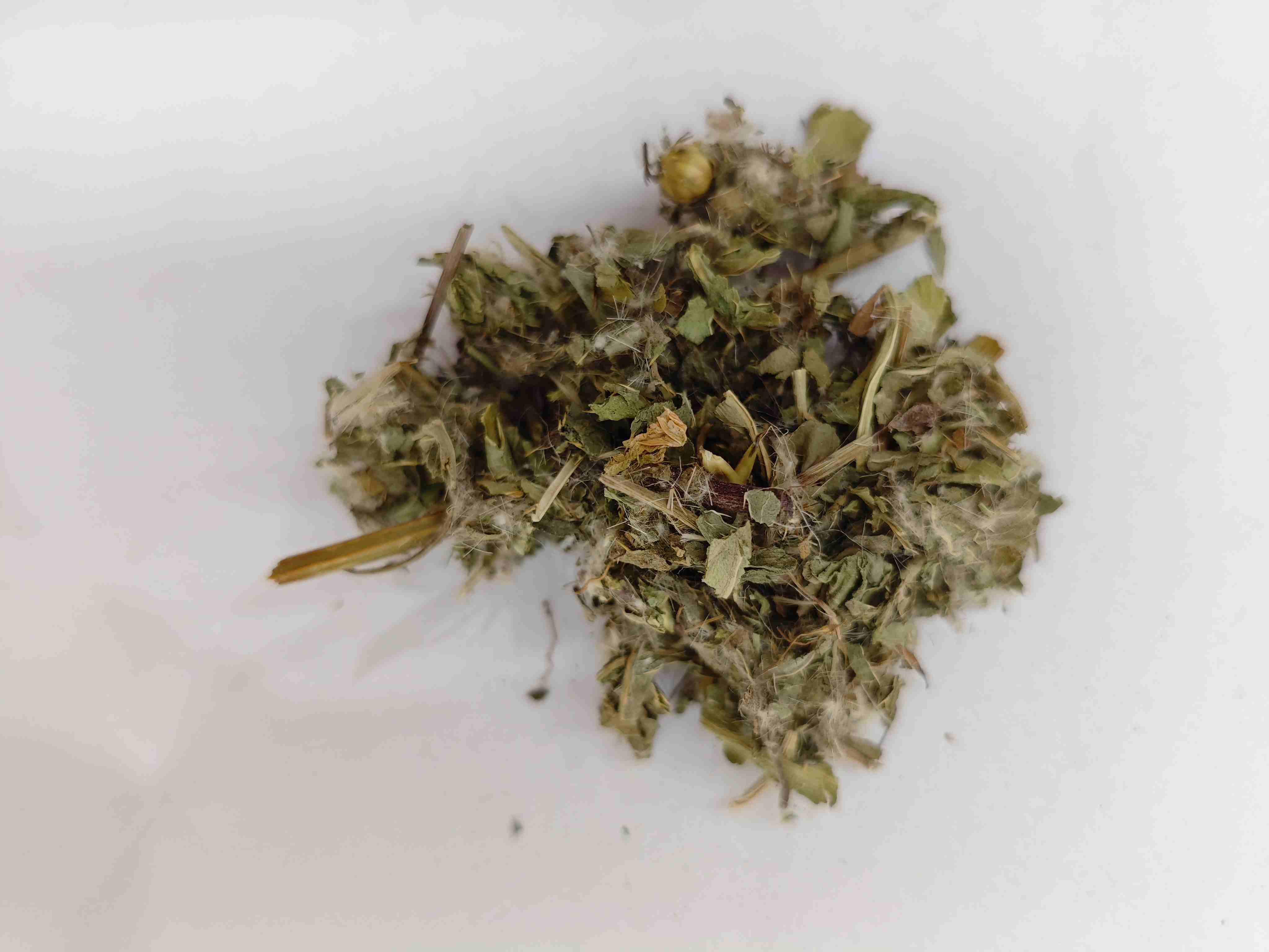 أقل ثيتل (xiǎo j&igrave;)