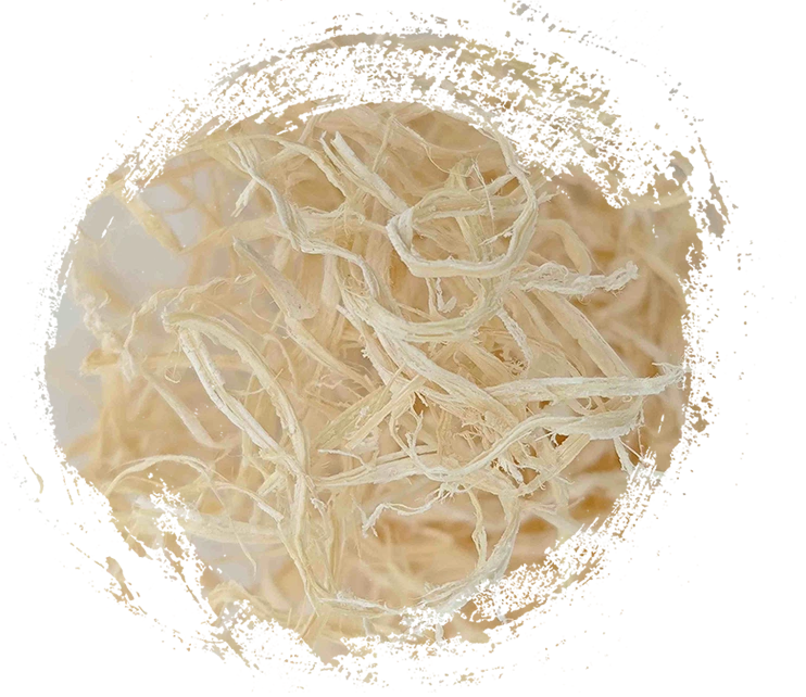 بيث بيث (Zhú Rú)