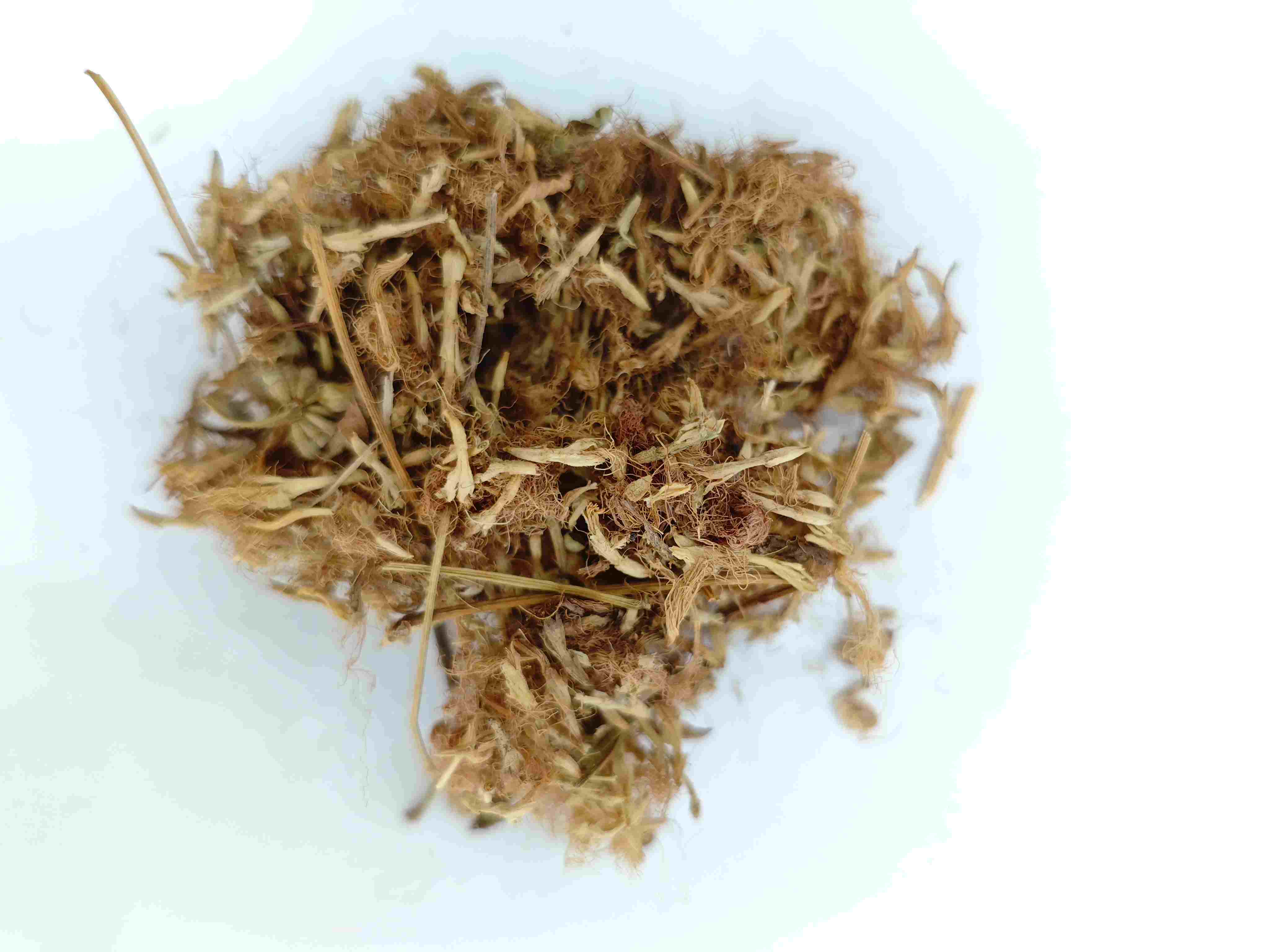 زهرة شجرة الحرير (Héhuān Huā)