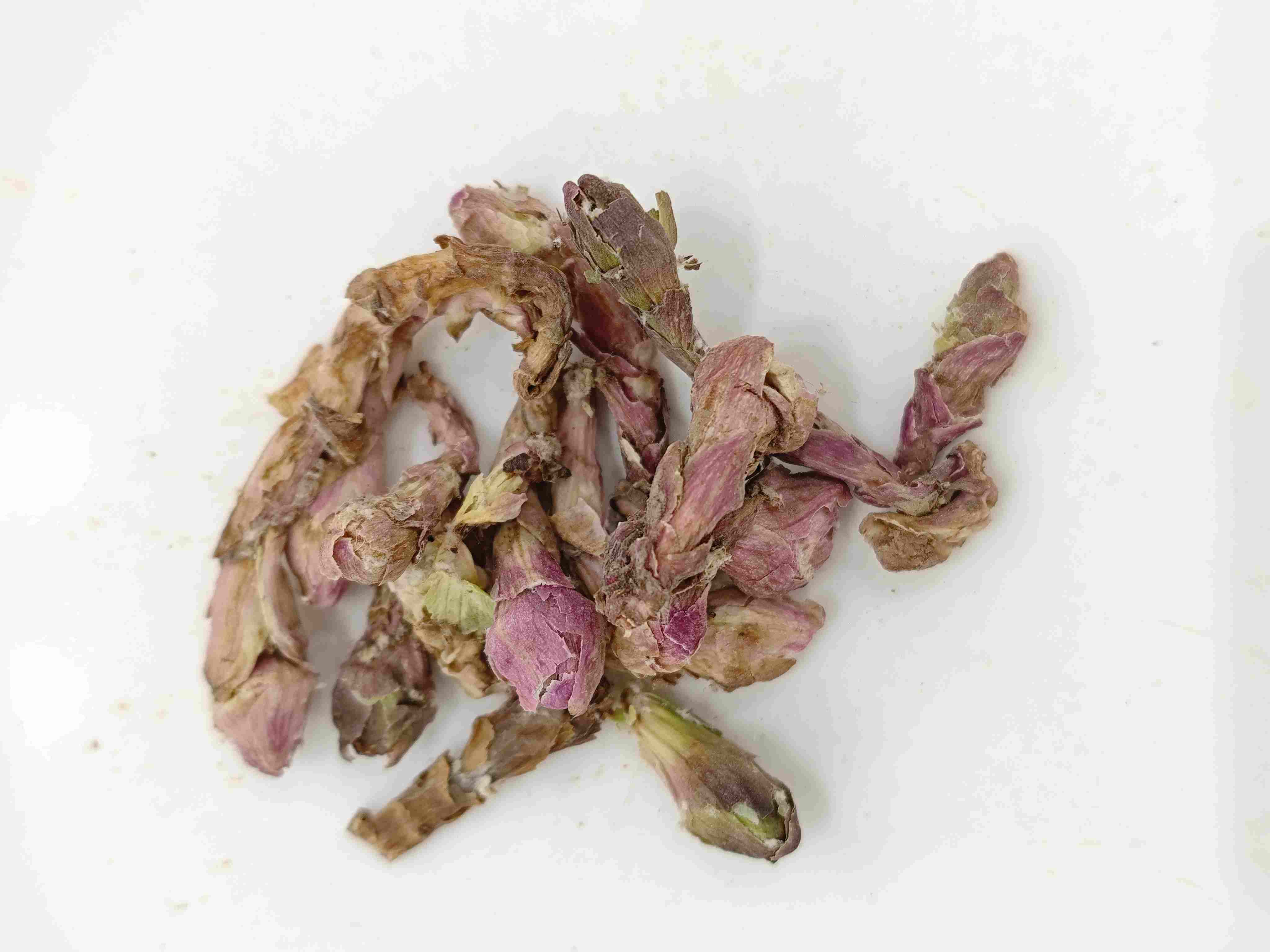 زهرة وينترهيلميت (kuǎndōng huā)