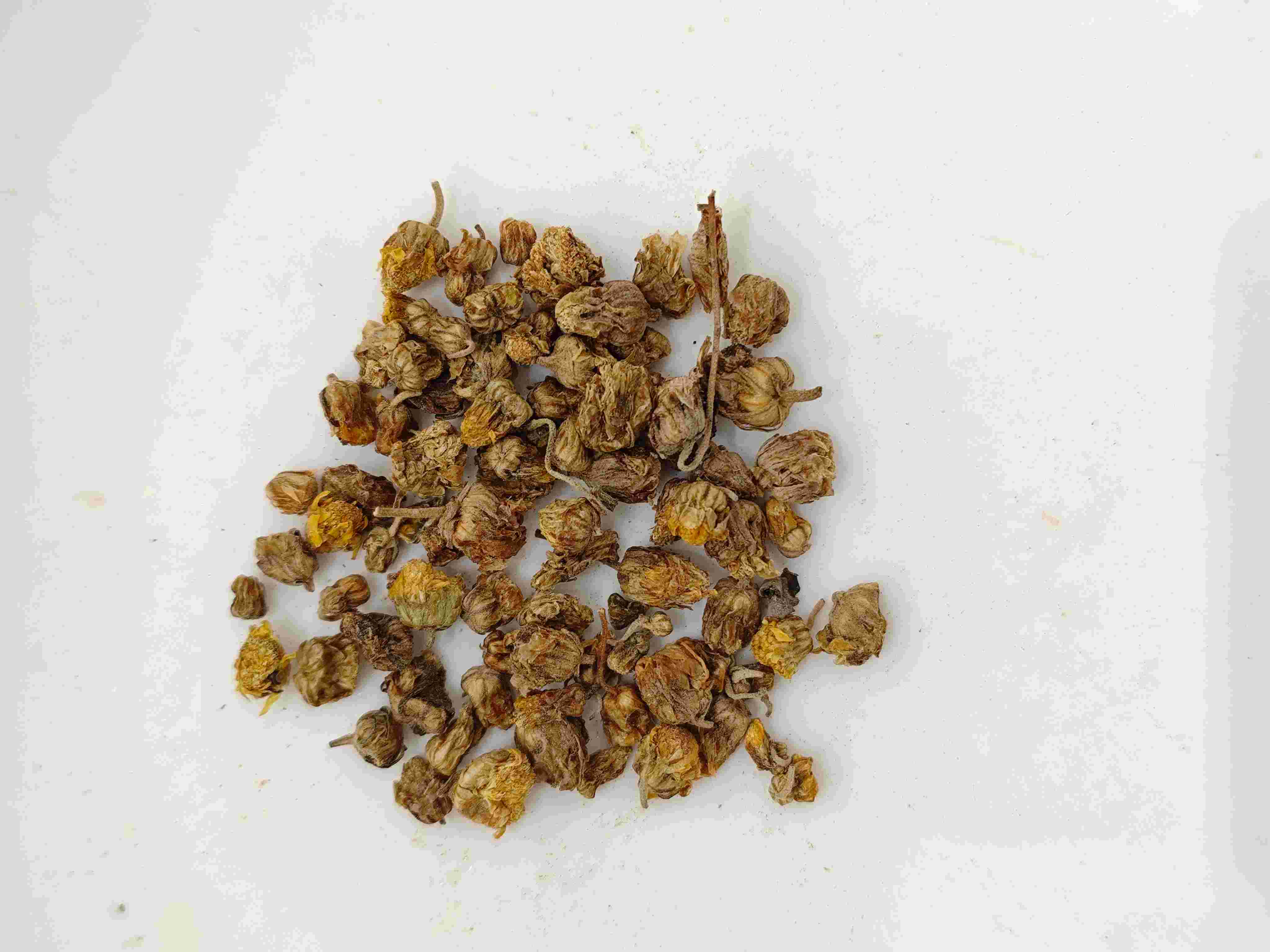 البرية chrysanthemum (yě jú huā)